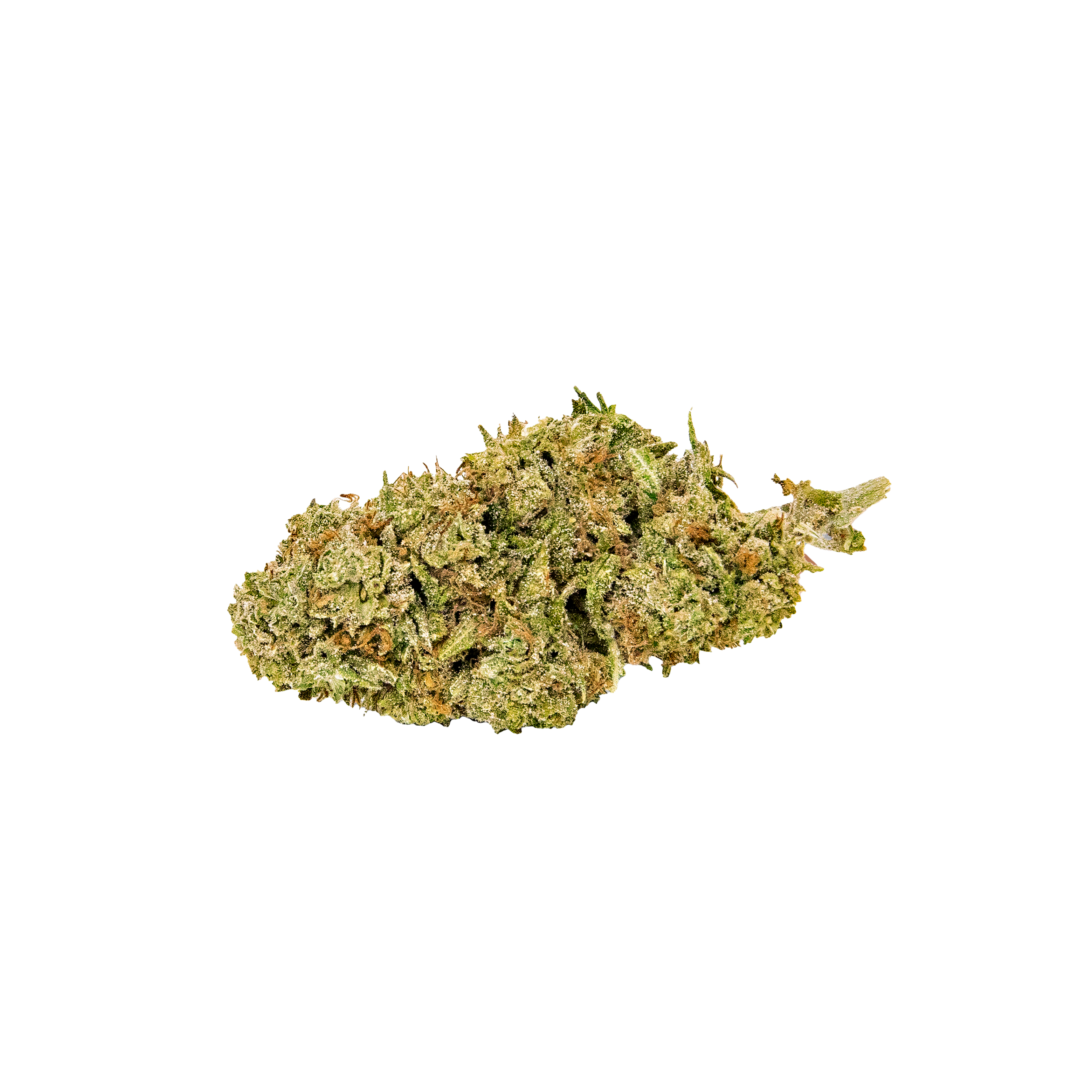 Hemp flowers Greenhouse Anima (CBG)