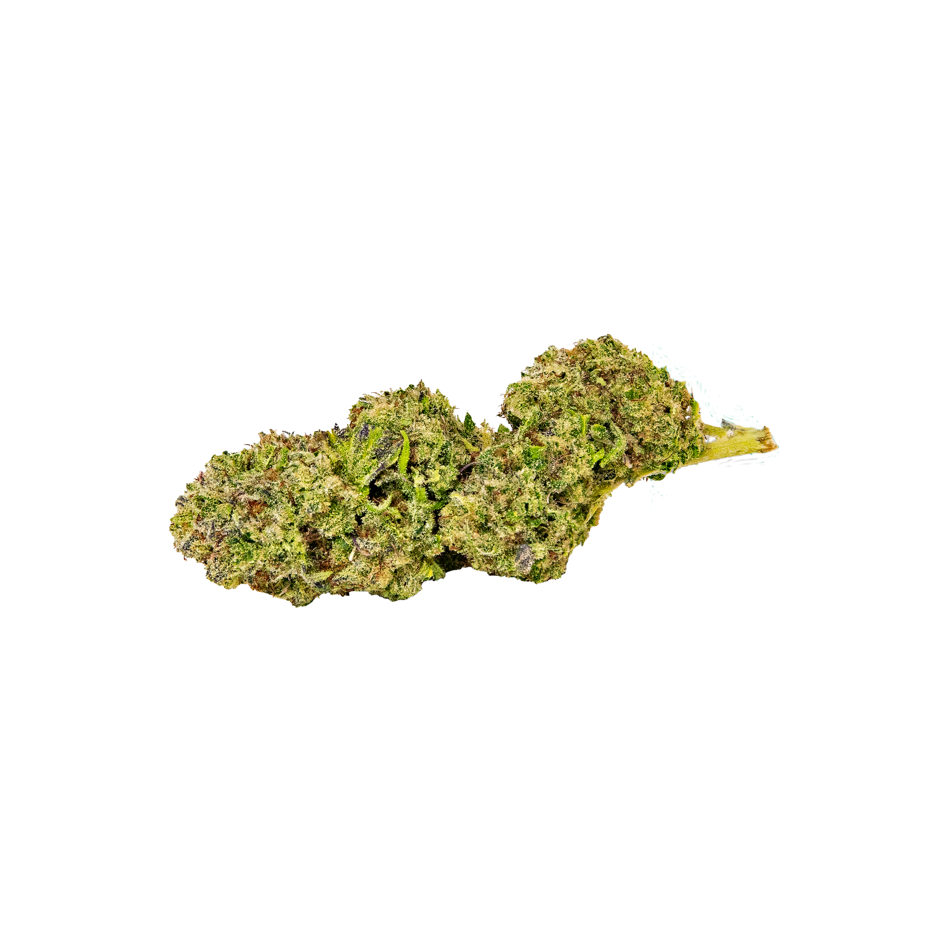 Hemp flowers Indoor Terra (CBD)